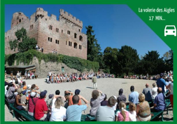 Appartamento Grenier Des Cigognes Sélestat Esterno foto