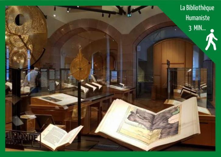 Appartamento Grenier Des Cigognes Sélestat Esterno foto