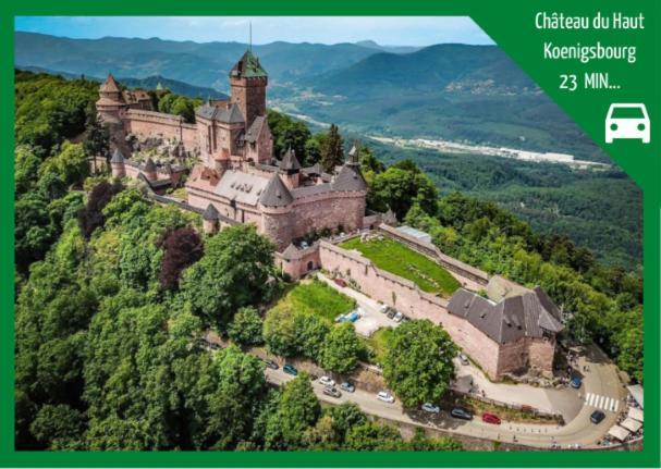Appartamento Grenier Des Cigognes Sélestat Esterno foto